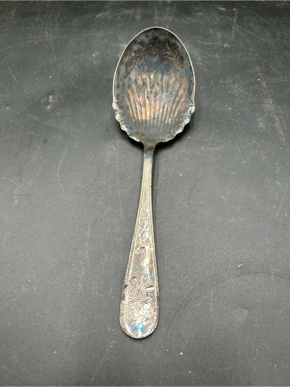 Silver plate shell serving spoon Frank McGuire Rockford pattern